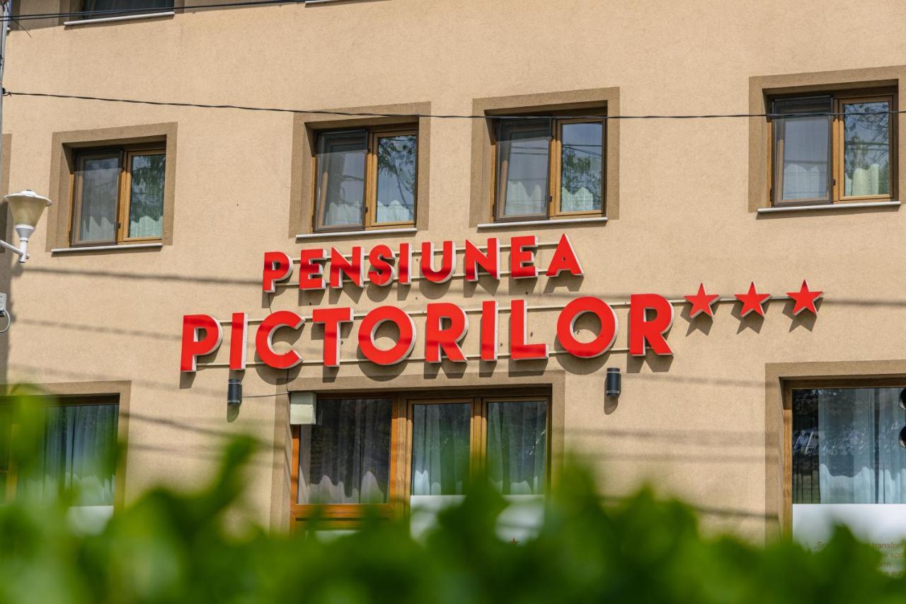 Pensiunea Pictorilor Бая-Маре Екстер'єр фото