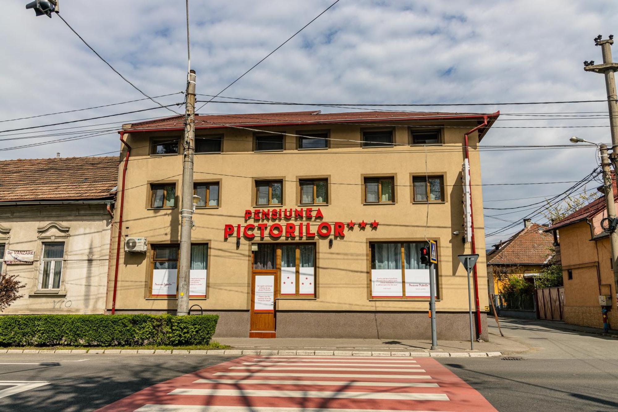 Pensiunea Pictorilor Бая-Маре Екстер'єр фото